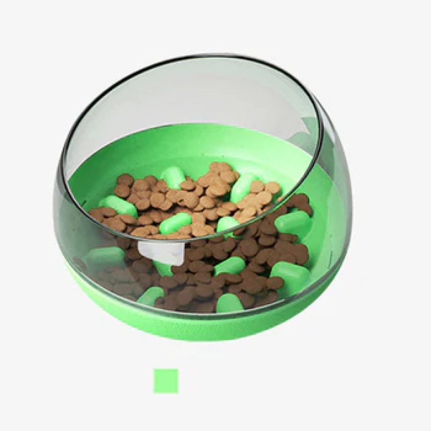 The Ultimate Guide to Choosing the Best Pet Food Bowls for Every Breed Size