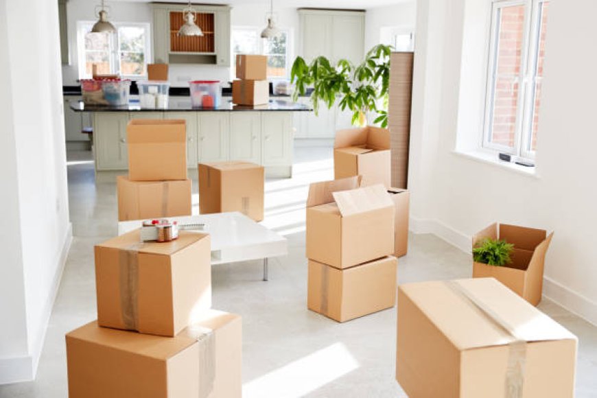Efficient Relocation Services in Croydon: Your Ultimate Man and Van Guide