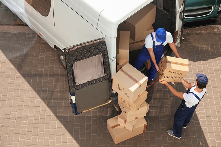 Efficient Relocation Solutions with Man and Van Sutton