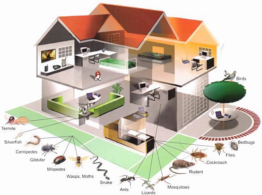 Stop the Spread: Why You Need Expert Pest Control Specialists