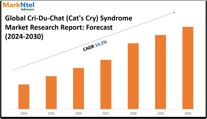 Cri-Du-Chat (Cat’s Cry) Syndrome Industry Share, Size, and Competitive Landscape 2030