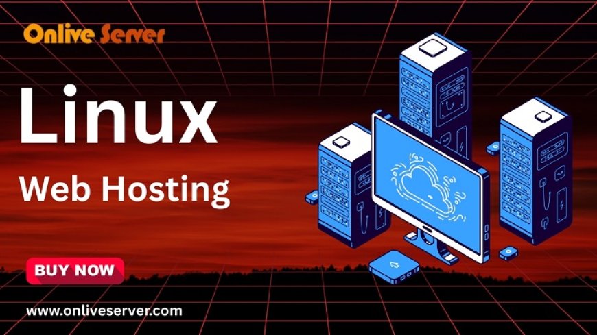 Linux Web Hosting: The Ultimate Guide to Reliable, Secure, and Affordable Option