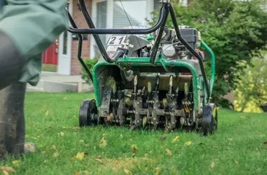 Expert Outdoor Maintenance for Calgary Homes