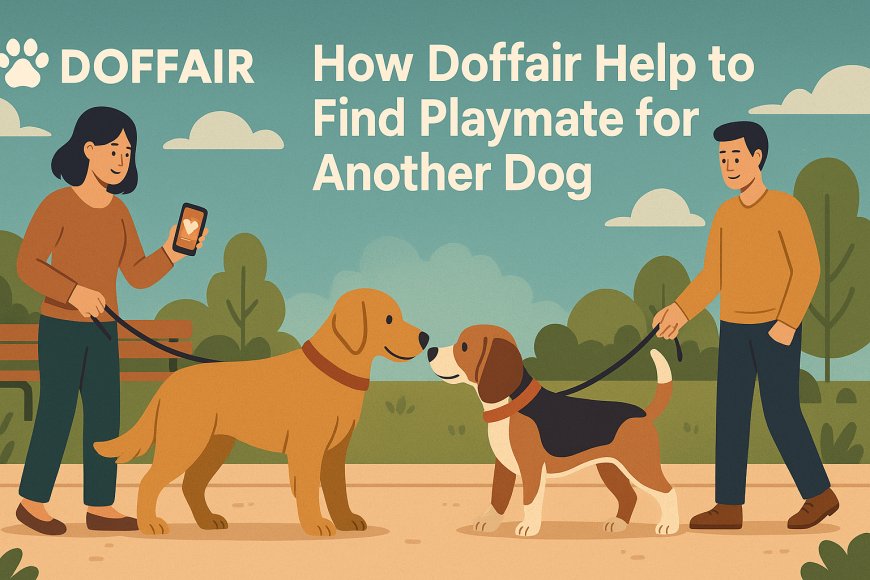 Dog Dating 101: How to Help Your Pup Find Their Perfect Playmate