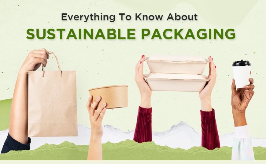 Infographic: Everything To Know About Sustainable Packaging