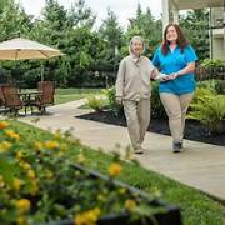 Assisted Living in Bristol: Choosing the Right Care Path for Your Loved Ones