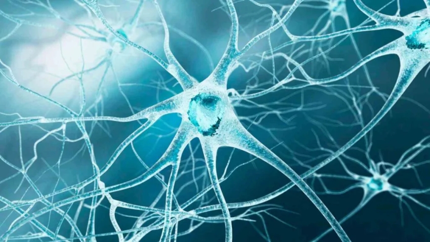 Numbness or Tingling? Know When to Worry | Nerve Health Awareness