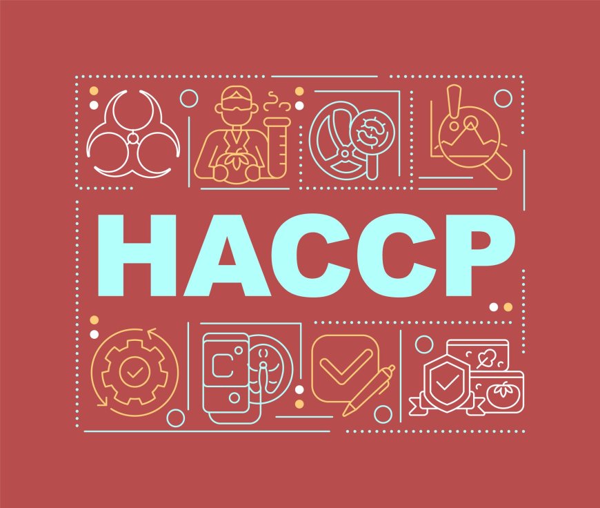 HACCP Certification: Keeping Food Safe, One Hazard at a Time