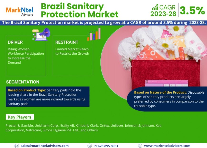 Brazil Sanitary Protection Industry Trends, Demand, and Value Outlook 2028