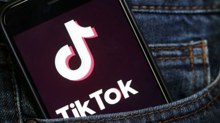 What is TikTok Auto Service, and what are its Advantages?