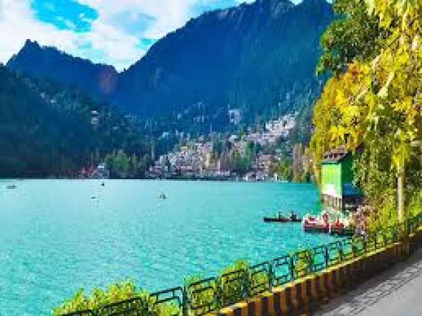 Discover the Mountains with Chopta Tour Packages from Tours Club India