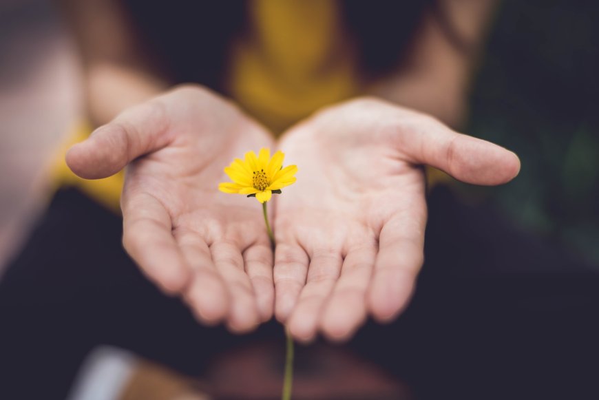 Life After Stroke: Liv Rosin’s Story of Healing and Hope