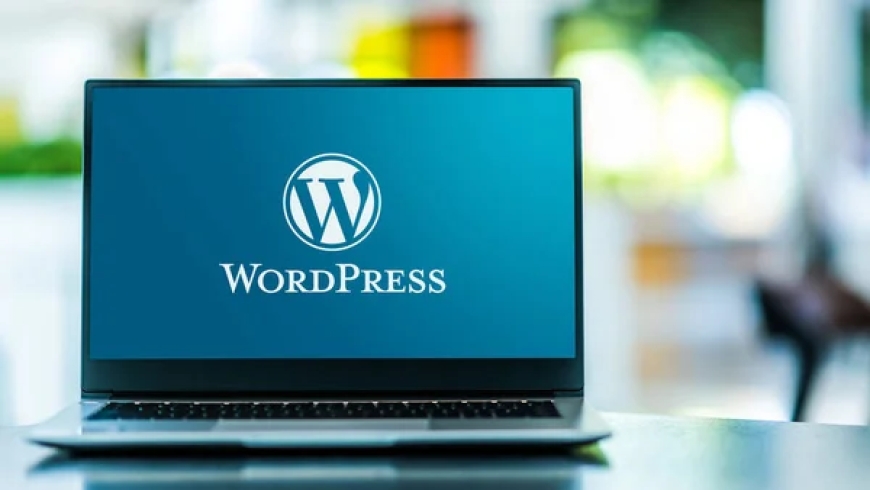 WordPress or Custom Website: Pros and Cons Guide
