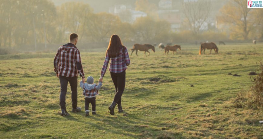 Is Your Child Meeting Developmental Milestones? Could OT Help?