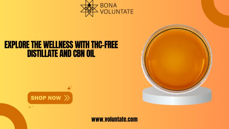 Explore the Wellness with THC-Free Distillate and CBN Oil