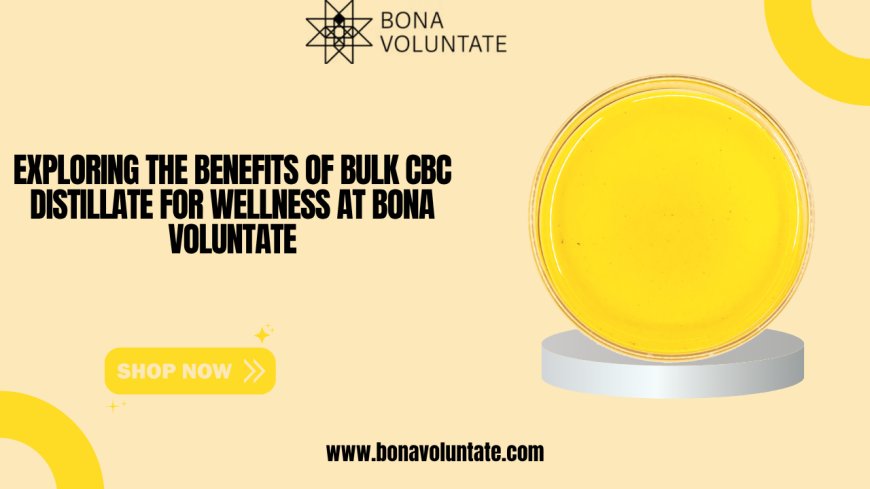 Exploring the Benefits of Bulk CBC Distillate for Wellness at Bona Voluntate