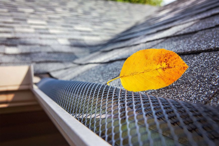 Protect Your Property with Gutter Cleaning Werribee: A Complete Maintenance Guide