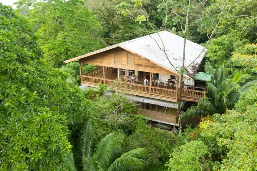 Group Birding Tours in Panama: Experience Nature Together