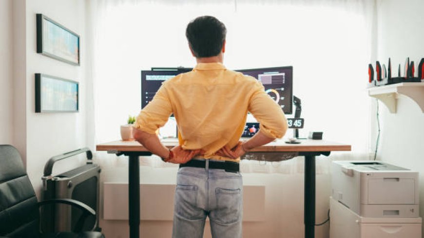 Standing Desks Help Reduce Daily Back Pain