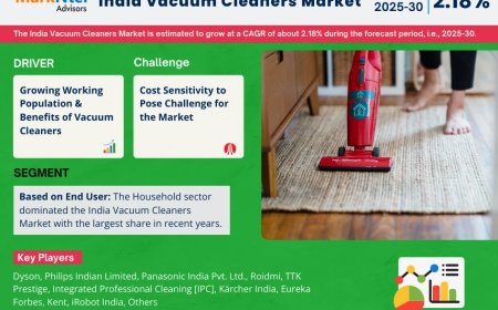 India Vacuum Cleaners Industry Analysis: Companies, Competitors & Outlook 2030