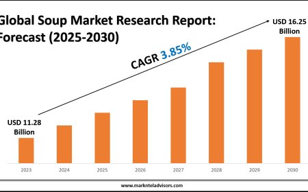 Soup Industry Share, Size, and Competitive Landscape 2030