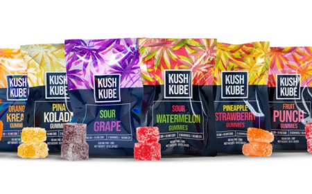 Buy Strongest THC Gummies Legal at King B Distribution