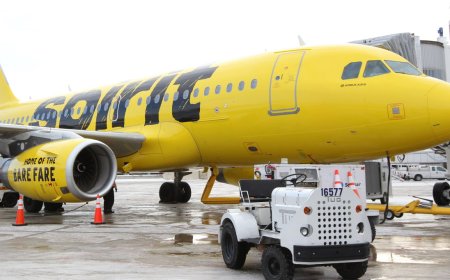 Everything You Need to Know About the Spirit Airlines New York Office