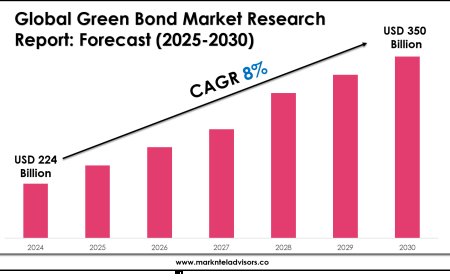 Green Bond Industry Analysis: Companies, Competitors & Outlook 2030