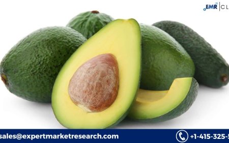 Avocado Processing Market Size, Share & Growth 2025-2034