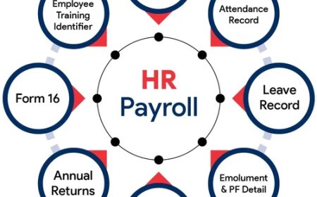 Why Your Business Needs an HR and Payroll Management System