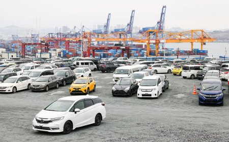 Wise Wheels: Buy Reliable Used Cars in Pakistan