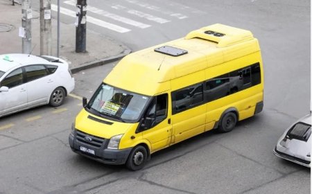 Mini School Bus Hire Dublin | Best School Transport Services