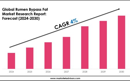 Rumen Bypass Fat Industry Trends, Demand, and Value Outlook 2030