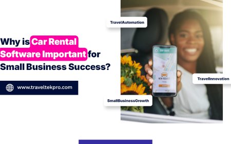 Why Choose a Custom Car Rental Reservation System?
