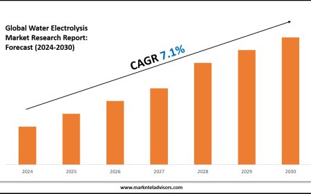 Water Electrolysis Industry Trends, Demand, and Value Outlook 2030