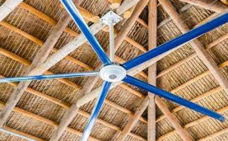 Top 7 HVLS Fans in Canada for 2025: A Complete Buyer’s Guide
