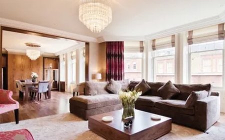 Top Commercial Interior Designer in the GTA: Expert Solutions