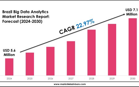 Brazil Big Data Analytics Industry Analysis: Companies, Competitors & Outlook 2030