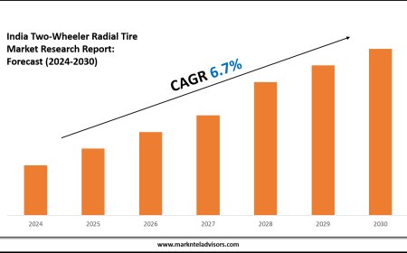 India Two-Wheeler Radial Tire Industry Forecast: Key Players and Growth Analysis 2030
