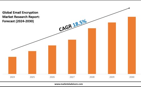 Email Encryption Market Trends and Growth Drivers Analysis 2030