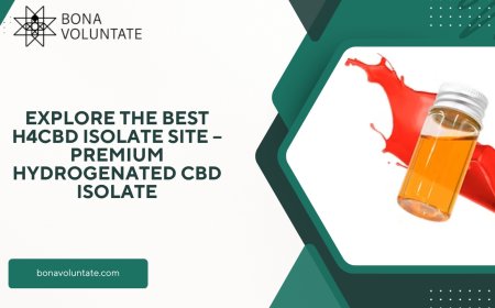 Explore the Best h4cbd isolate site – Premium Hydrogenated CBD Isolate