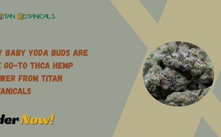 Why Baby Yoda Buds Are the Go-To THCA Hemp Flower from Titan Botanicals