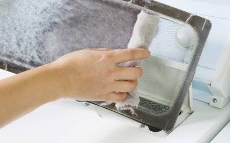 Why Every Brooklyn Homeowner Should Make Dryer Lint Trap Cleaning a Habit