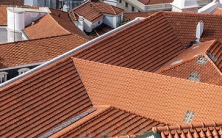 The Role of Professional Painters in Sydney Roof Makeovers