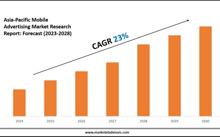 Baby Pacifier Market Value, Forecast, and Industry Overview 2028