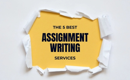 Unlocking Academic Success with Expert Assignment Assistance