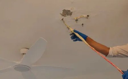 How to Detect Early Signs of Water Ingress in Your Home