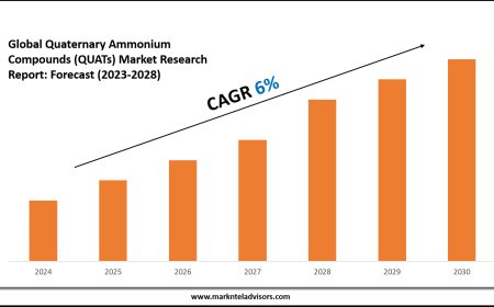 Quaternary Ammonium Compounds (QUATs) Market Analysis: Key Players, Competition & Forecast 2028