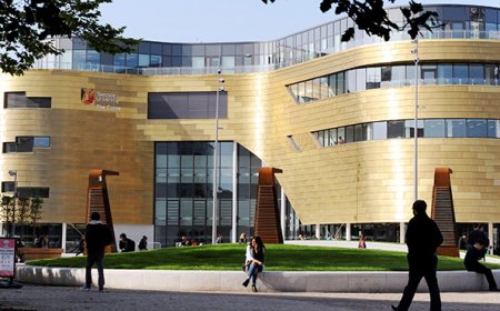 Choosing The Best Website For Assignment Help in the UK