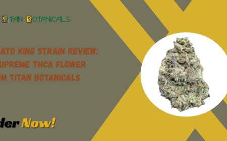 Gelato King Strain Review: A Supreme THCa Flower from Titan Botanicals